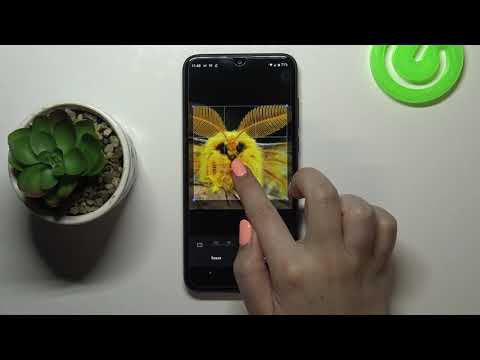 How to Add Picture to Contact in WIKO View 3 – Personalize Contacts