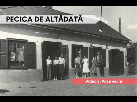 Pecica veche, de altădată / The Old Pecica of Yesteryear