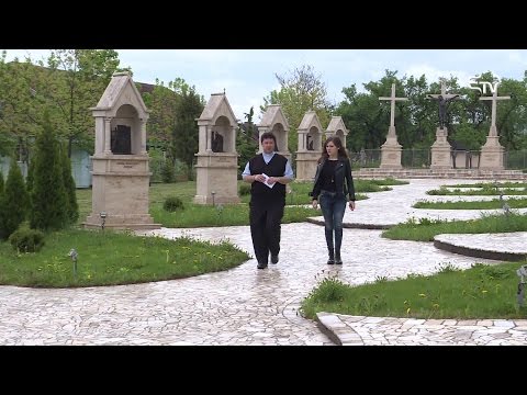 Hét szilvafa árnyékában: Barangolás Szilágyságban – 2017. május 10.