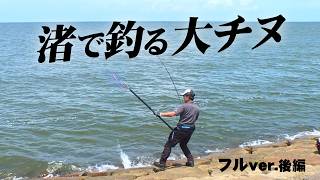 チヌ・コチ