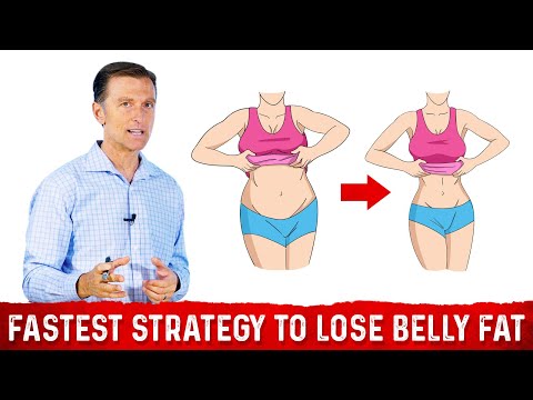 The Ultimate Fat Burning Guide Dr Berg s Webinar on Maximum Weight Loss