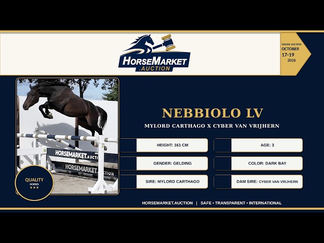 Nebbiolo LV