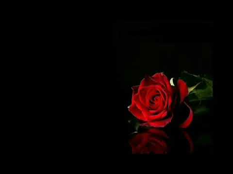 INIBINIBS - MARC G (LYRICS VIDEO)