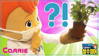 왕초보 식물 기르기 도전! | 꼬마캐빈의 I CAN DO IT 할 수 있어