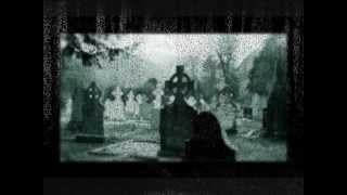 Ulver - Not Saved