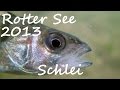 Diving - Rotter See 2013 - Schlei - Europa, Rottersee - 53840 Troisdorf, Deutschland, Nordrhein-Westfalen