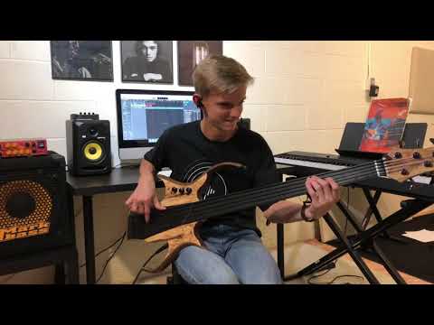 Gabriel Severn Stega fretless bass