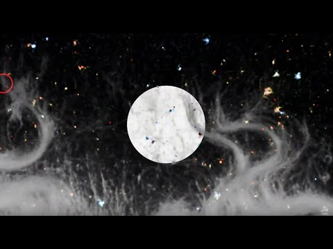 Hannes Wittmer - Nachruf