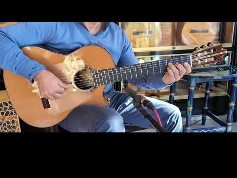 Juan Montes Rodríguez Flamenco 1ª Negra Exclusive Cutaway + LR Baggs Installed 2025 image 26