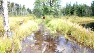 preview picture of video 'Hiking Through Beaver Flooding on the Cranberry Lake 50 Trail'