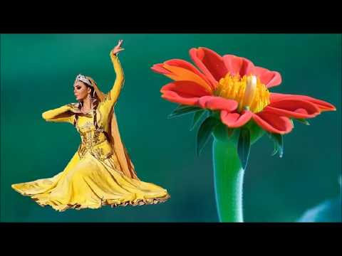 A Ceyran-oxuyur Dursun Borçalı şən ritmik mahnı 2017