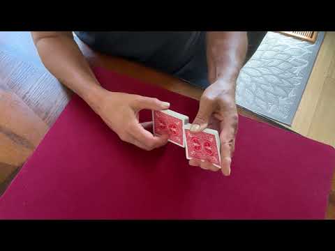 Steve Forte’s “Do That Again!”