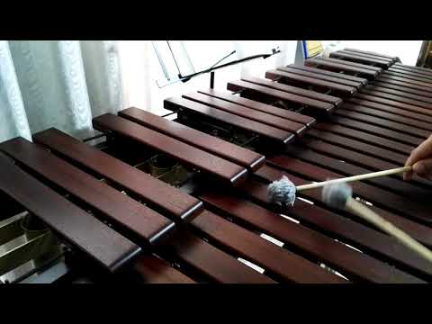 Inni di lode N°480: I miei anni più belli Marimba Cover