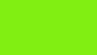 Nelly ft Fergie - Party People