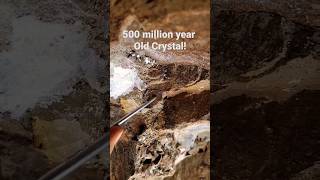 Diamond Mining 💎  This Ancient Jurassic Rock 🪨  #shorts