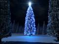 O Holy Night - Anne Murray