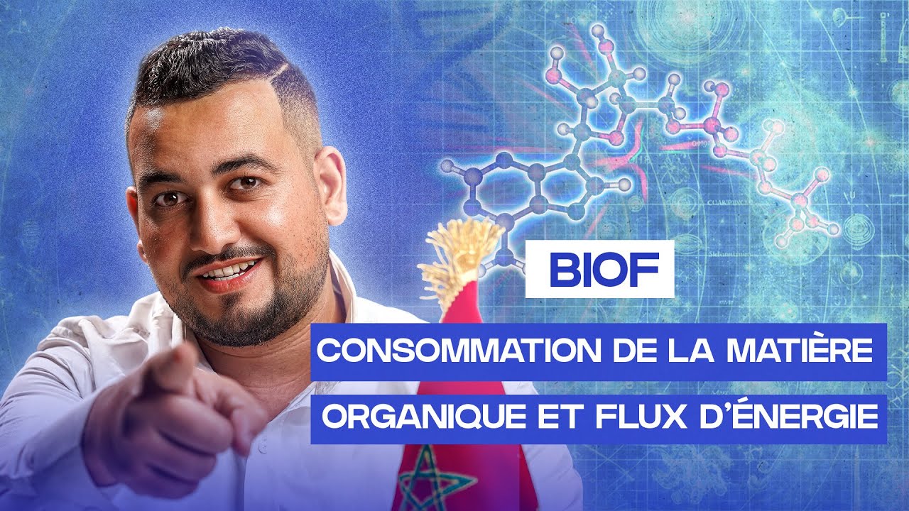 ATP Biof partie 1  : Glycolyse 1