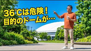 【36℃猛暑】最新の建築ドームを観に千葉公園を歩いたら…