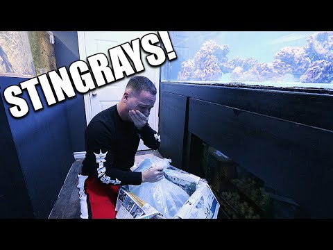 UNBOXING AQUARIUM FISH I HAVE ALWAYS WANTED!