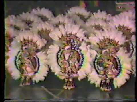 1978 Woodland String Band "Viva Italia" - 9th Place