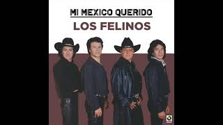 Los Felinos – Morena (Audio Oficial)