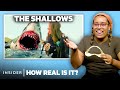 Shark Expert Rates 10 Shark Attacks In Movies And TV How Real Is It Insider