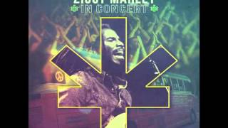 Ziggy Marley - "Justice & War" | Ziggy Marley In Concert