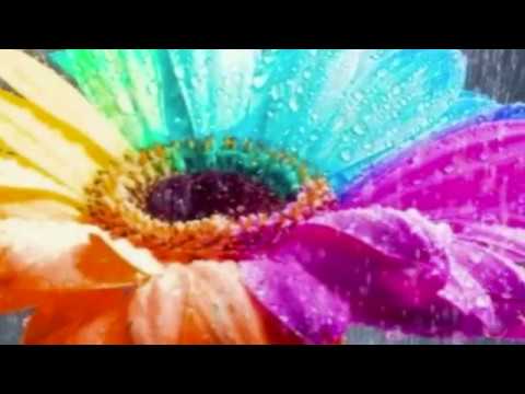 Bảy màu mưa Huế Sheet - Diệu Hiền