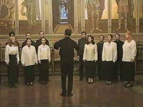 Noi umblam si colindam.avi