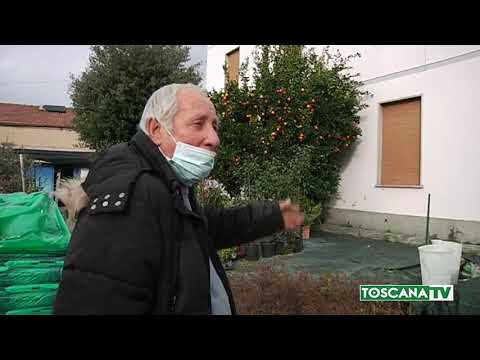 2021-01-14 PRATO - RAPINA IN CASA A VERGAIO,IMBAVAGLIATA E MINACCIATA