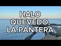 Quevedo, La Pantera - Halo (LETRA)