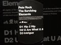 Pete Rock - U Are What U Are #PeteRock #UAreWhatUAre #2005