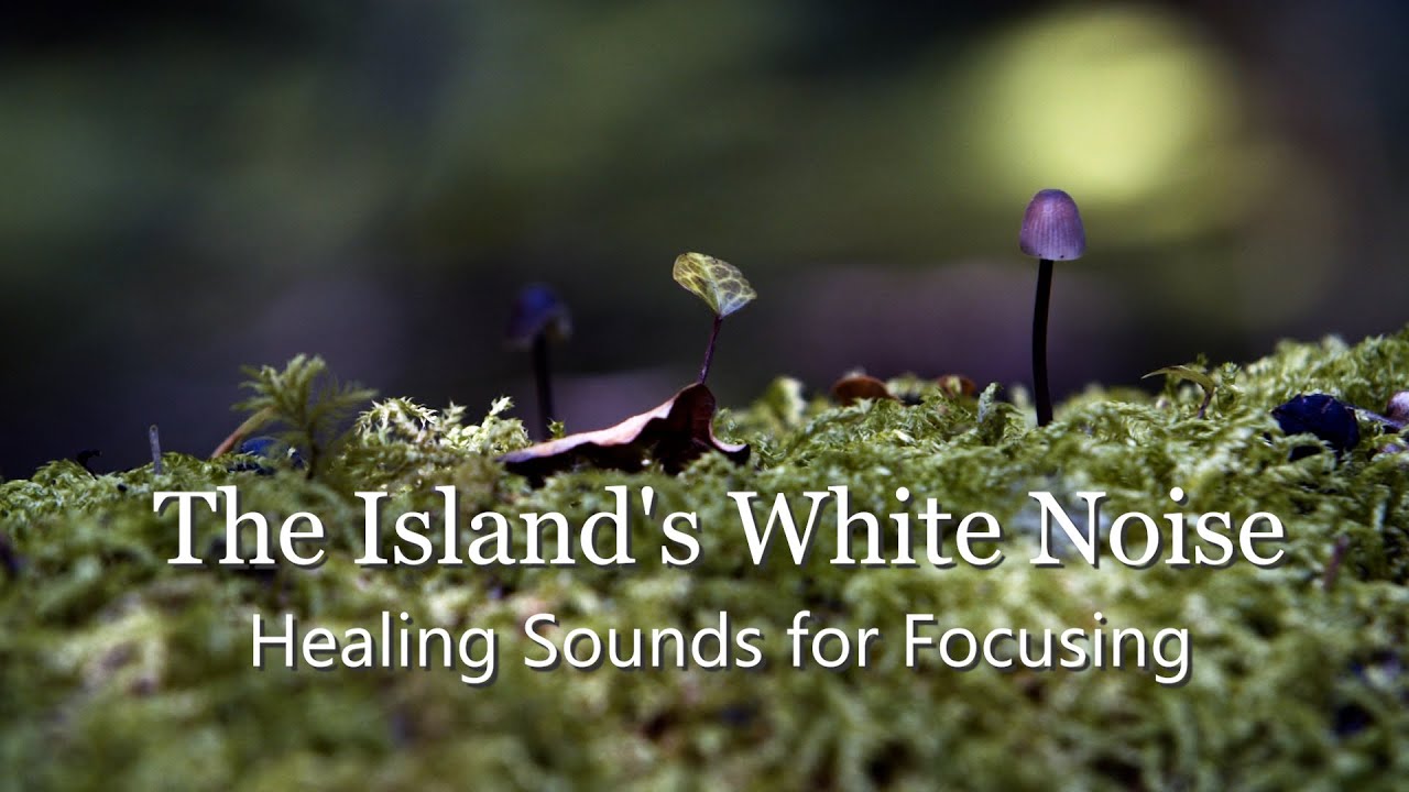 森林SPA ASMR - 田園小徑環繞聲, 放鬆療癒, 幫助睡眠, 冥想, 紓壓, 放鬆, 白噪音