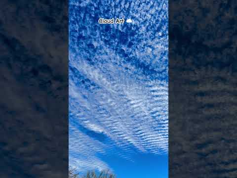 Enjoy the drifting clouds on a cold winter February day! #clouds #lookup #cloudchasers