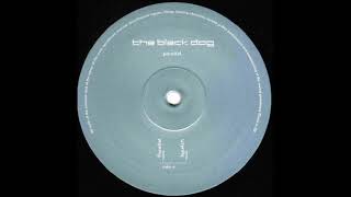The Black Dog - Parallel