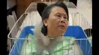 Re: [問卦] 要怎麼讓小孩聽話？