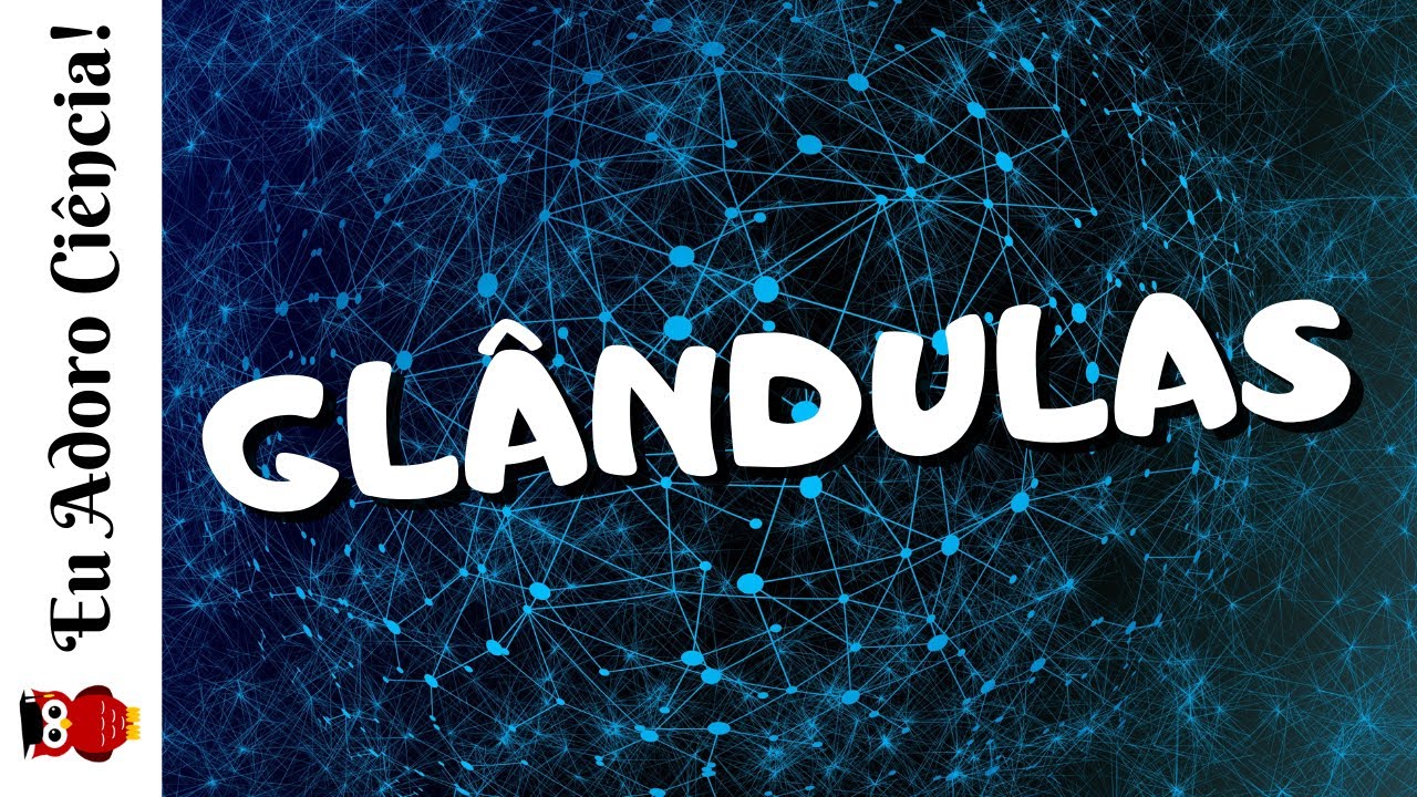 Glândulas Exócrinas, Endócrinas e Mistas