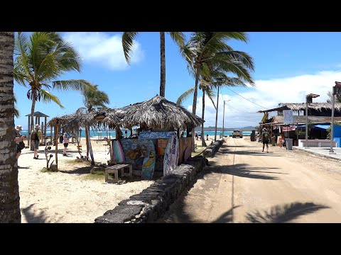 2025-11 - Galapagos, Isabela Island