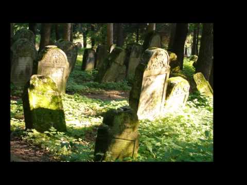 Z Bieszczad przez Lesko do Zyndranowej