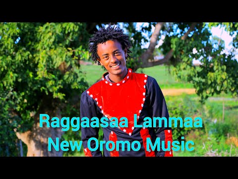 Raggaasaa lammaa malumaa new oromo music bara 2022 Raggaasaa