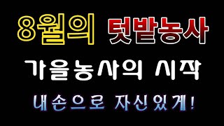 [텃밭농부. 1,175]  8월 텃밭농사 정보 #월별 농사정보