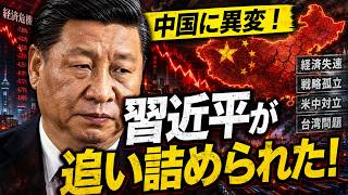 中国の“世界最大級クレーン”がヤバすぎる…日本が見落とすエネルギー戦争の現実