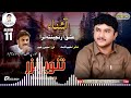 Tanveer Nazar Ishiqa Ranjenta Tara Poet Saleem Sabit Album 11 Eid Gift 2024