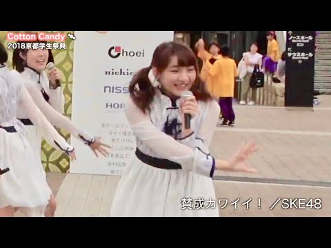 Cotton Candy 京都学生祭典『=LOVE/=LOVE』ほか