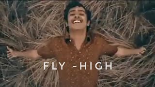 Fly high - Old memories - Idukki Gold - whatsapp s