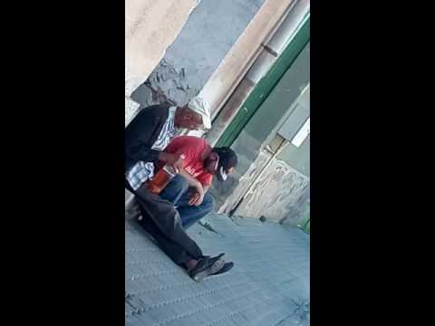 Acolistii petresti  :))))