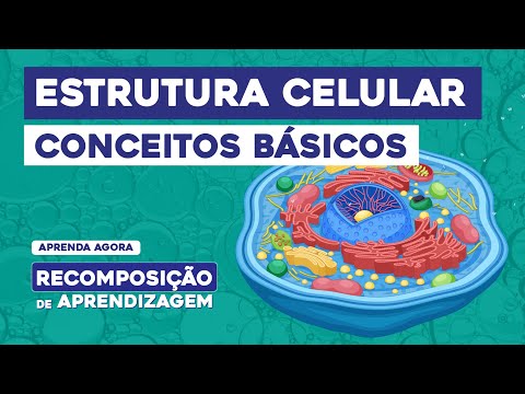 CELLULAR STRUCTURE: basic concepts | Learning Review | Cláudia de Souza Aguiar