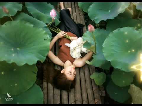 Đêm mỏng - Tố Mai