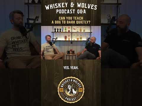 Q&A: Can You Teach A Dog To Bark Quietly? #dogs #dogtraining #dogtrainers