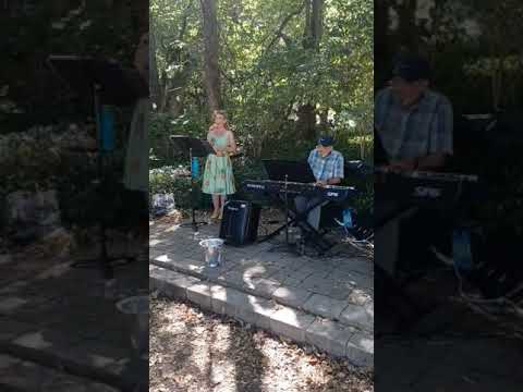 Promotional video thumbnail 3 for The Erin Fox Duo